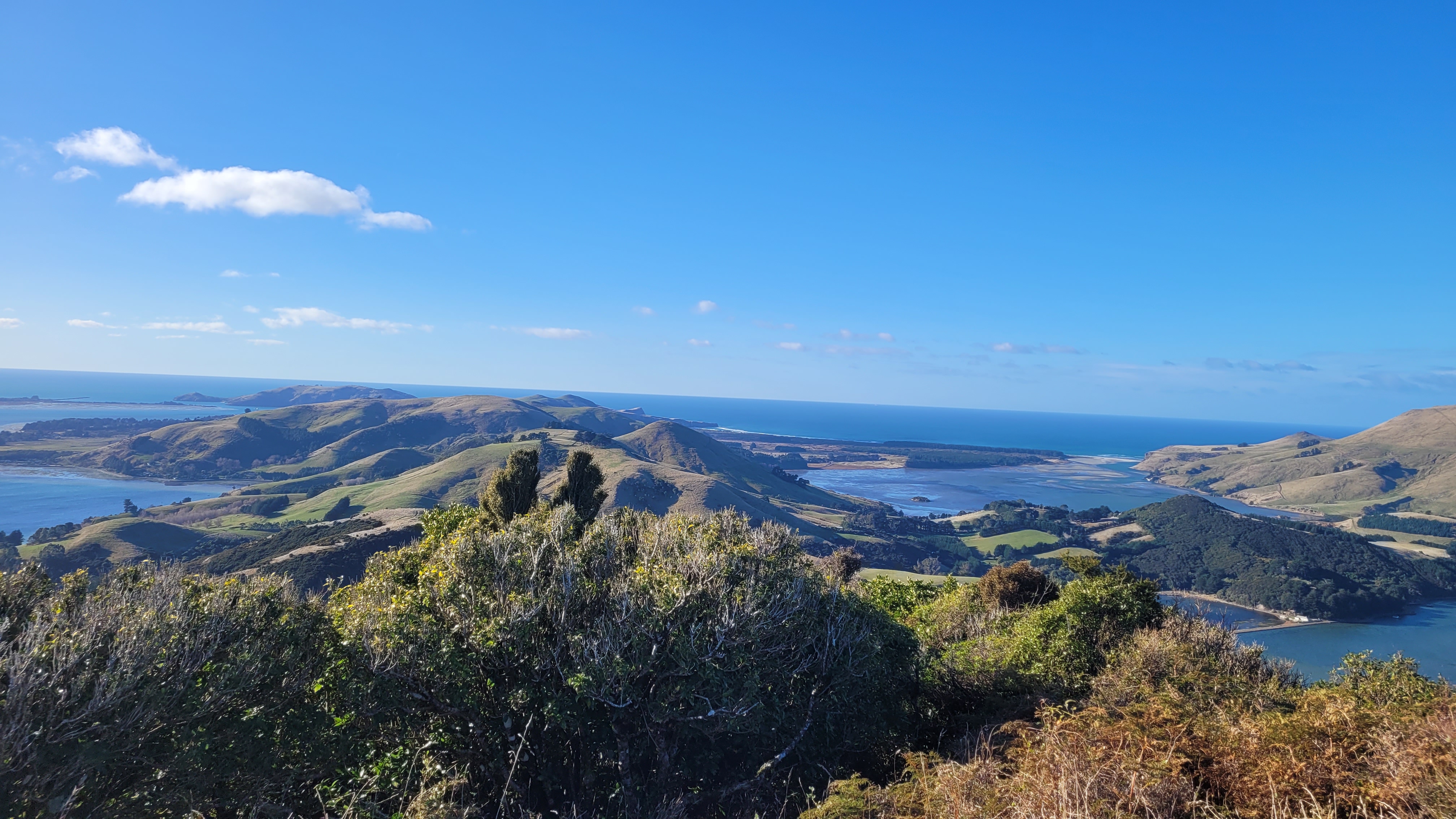 View up the otago peninsula on a sunny day