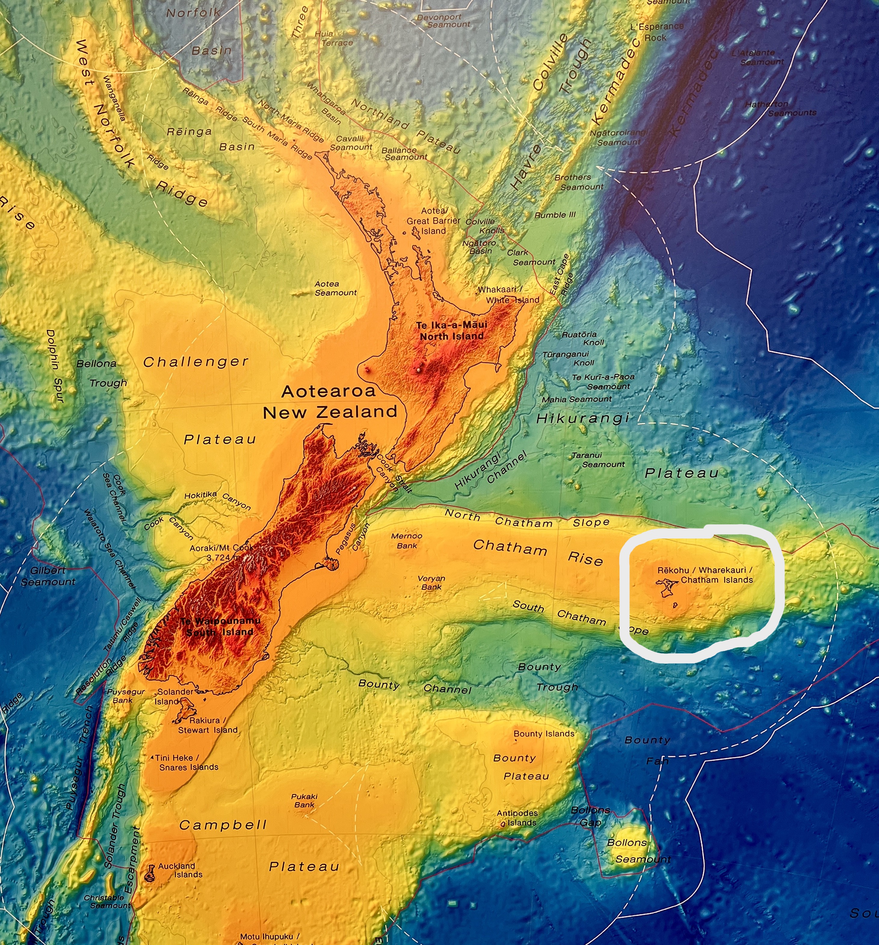image of NZ as elevation map with Rekohu circled