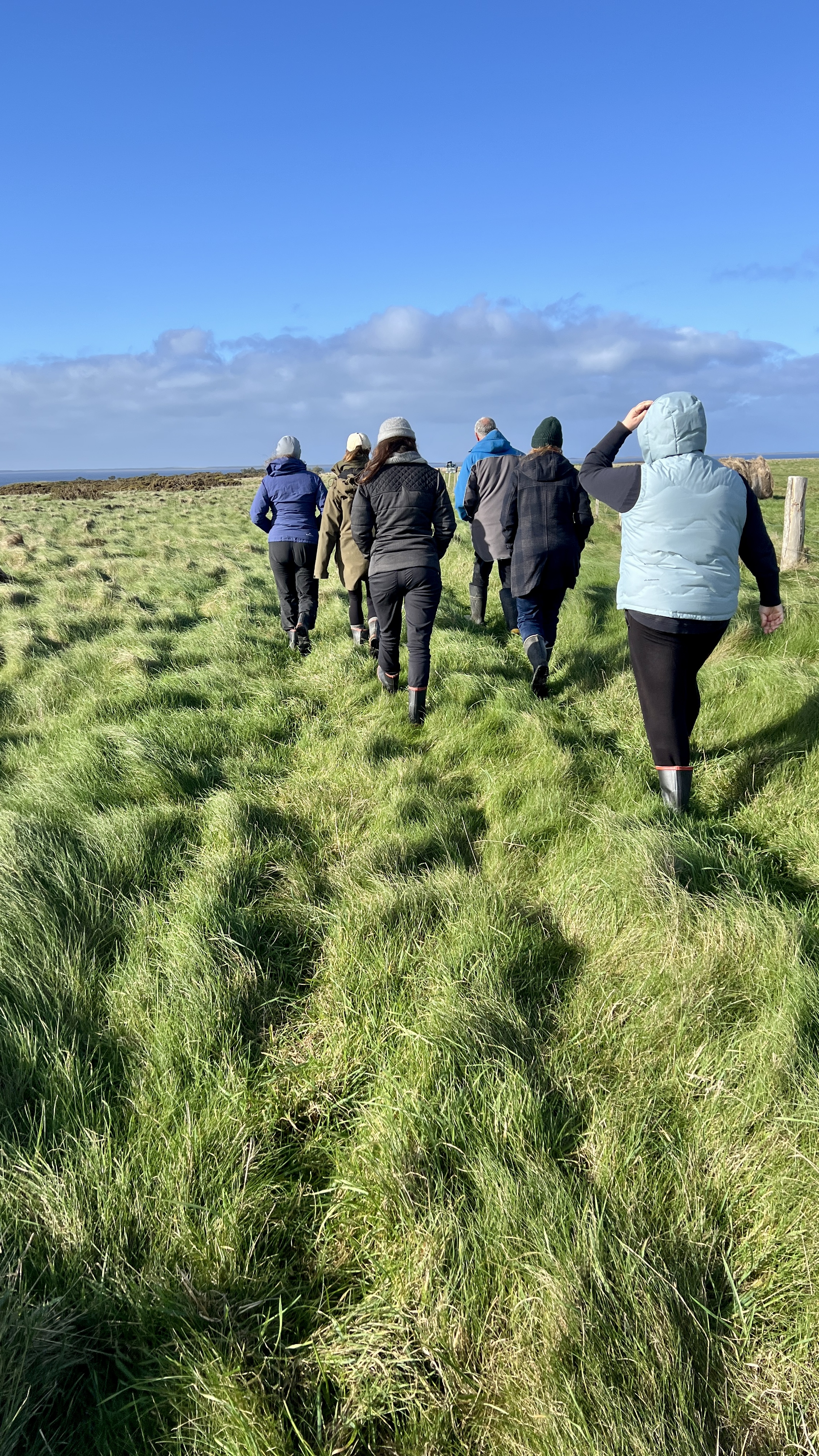 people walking in line through a field