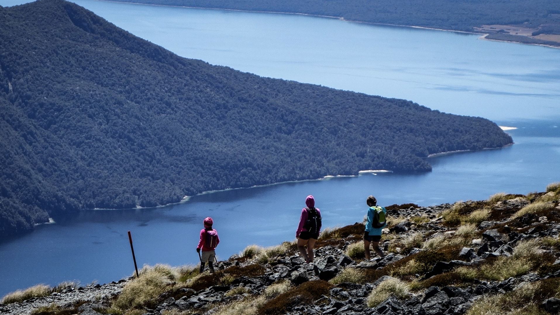 private hiking tours new zealand