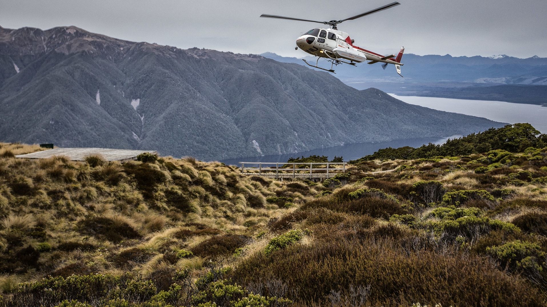 private hiking tours new zealand