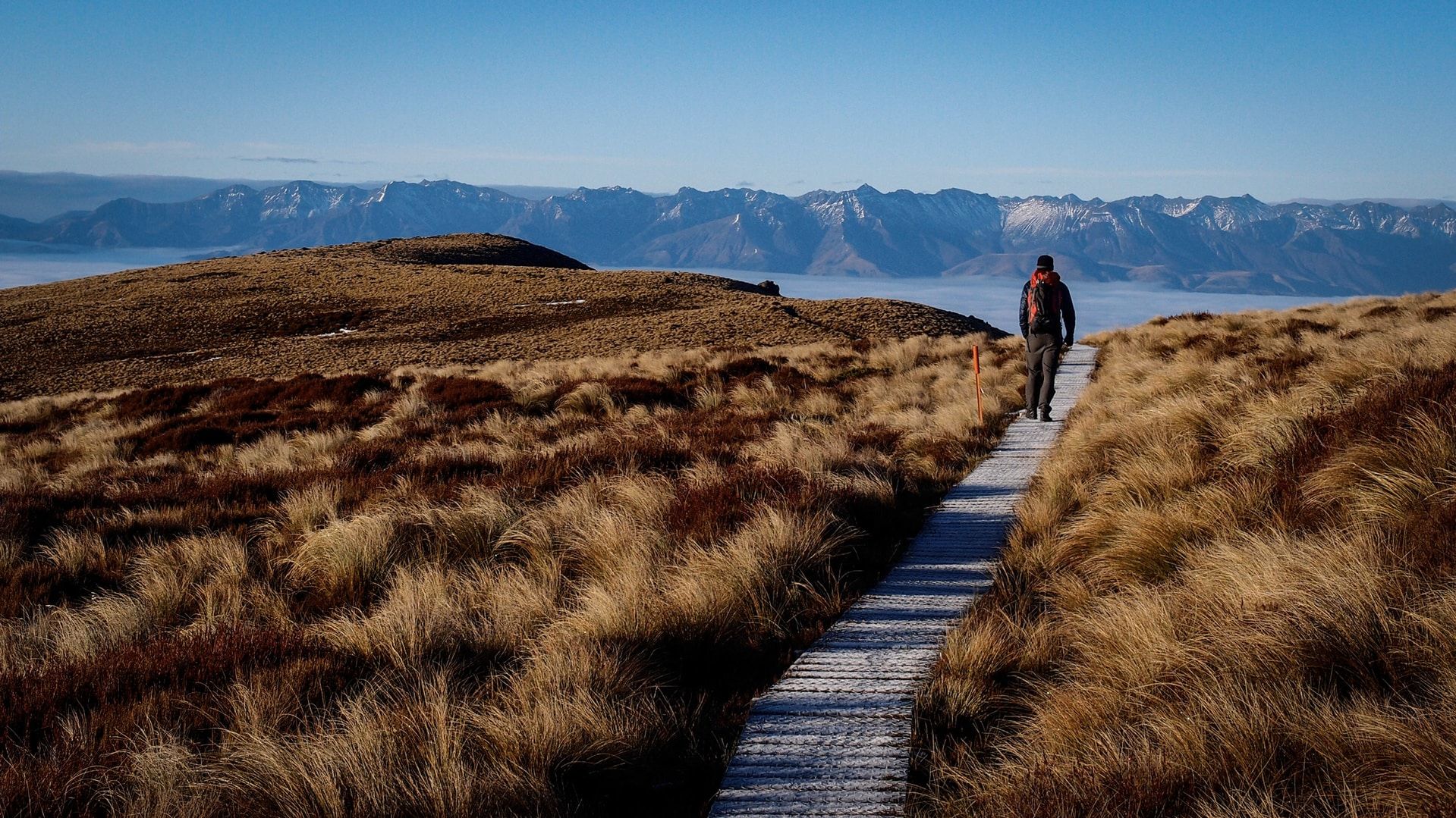 Fiordland Hiking