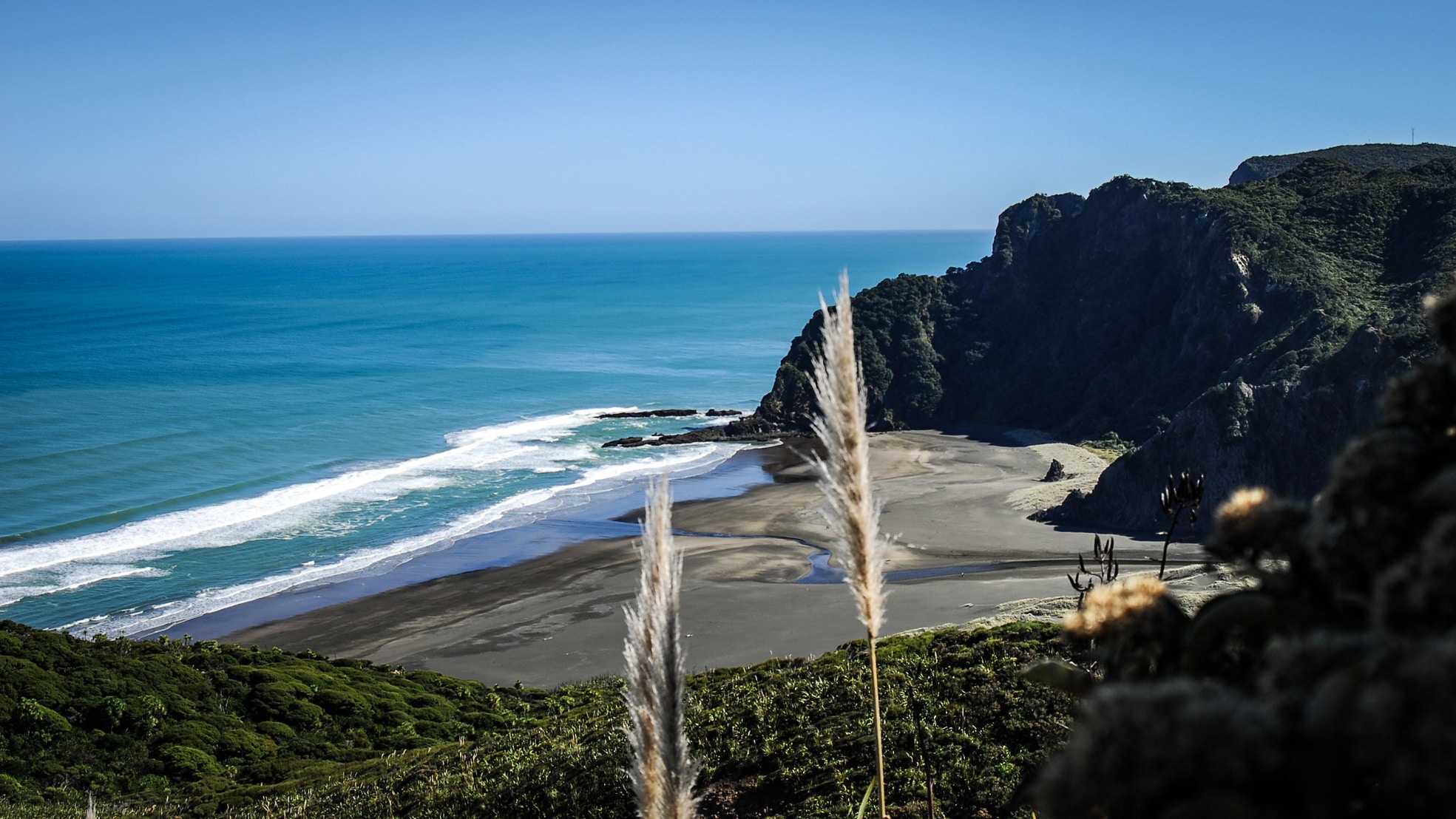 Private hiking tours are a fantastic way to explore the scenic coast of Karekare in New Zealand